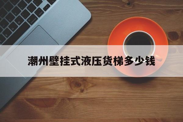 潮州壁挂式液压货梯多少钱(广东省液压升降机货梯厂家)
